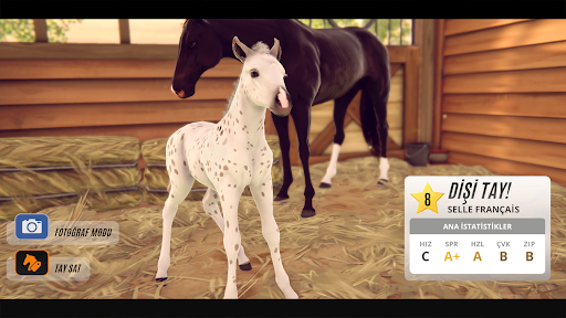 Rival Stars Horse Racing ekran görüntüsü