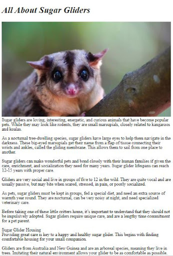 Pet Sugar Glider Care Guide ekran görüntüsü