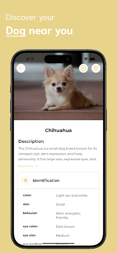 Dog Identifier ekran görüntüsü
