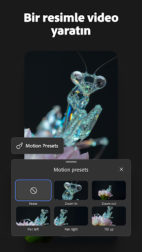 Adobe Firefly: AI Generator ekran görüntüsü