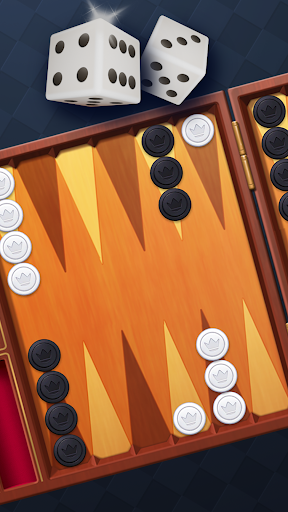 Backgammon: Dice Board Game ekran görüntüsü