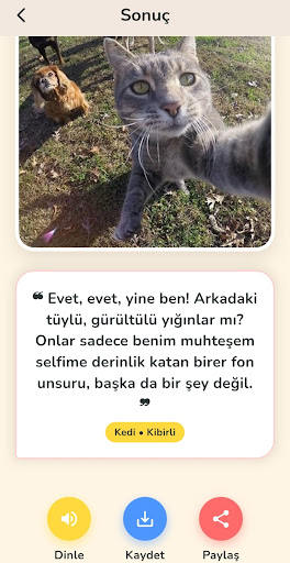 Pati Gurmesi ekran görüntüsü