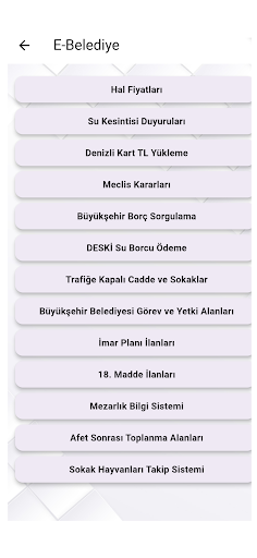 Denizli Büyükşehir Belediyesi ekran görüntüsü