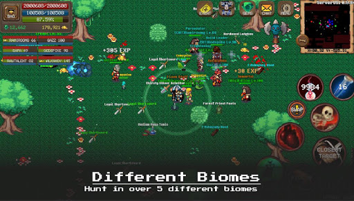 Laurum Online - 2D MMORPG ekran görüntüsü