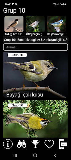 Avrupa Kuşları Alan Rehberi ekran görüntüsü