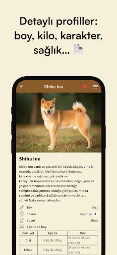 Köpek Irkları Rehberi ekran görüntüsü