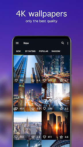 City Wallpapers 4K ekran görüntüsü