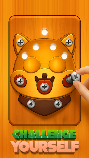 Unscrew Nuts And Bolts Puzzle ekran görüntüsü