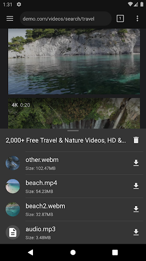Video Downloader Pro ekran görüntüsü