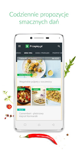 Przepisy.pl ekran görüntüsü