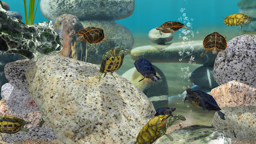 Fish Farm 3 - Aquarium ekran görüntüsü