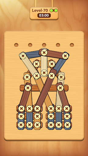 Screw, Nuts & Bolts Puzzle ekran görüntüsü