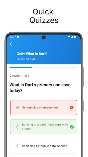 Learn Dart Programming ekran görüntüsü