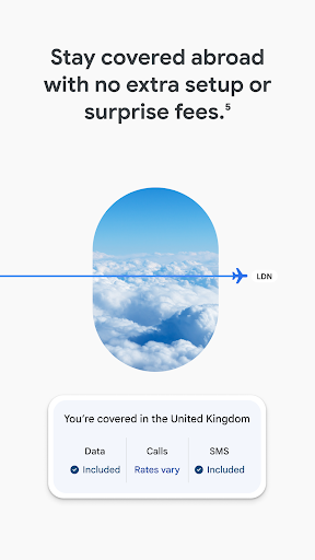 Google Fi Wireless ekran görüntüsü