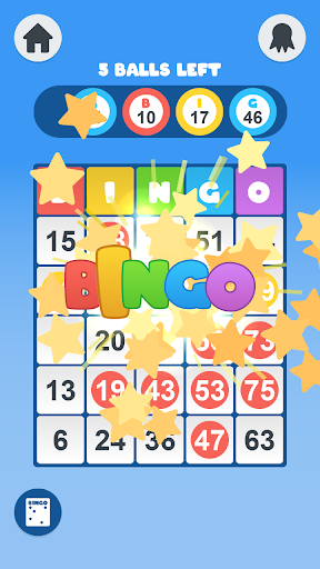 Daily Bingo ekran görüntüsü