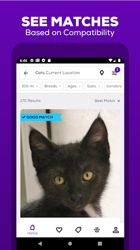 Petfinder - Adopt a Pet ekran görüntüsü