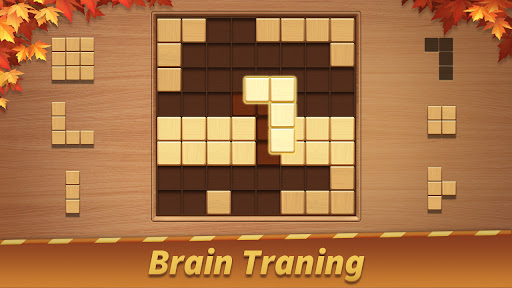 Block Puzzle - Wood Blast ekran görüntüsü