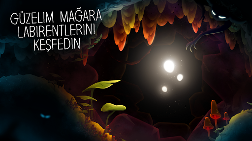 SHINE - Işığın Yolculuğu ekran görüntüsü