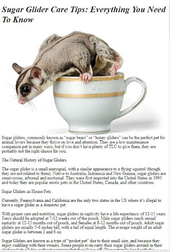 Pet Sugar Glider Care Guide ekran görüntüsü