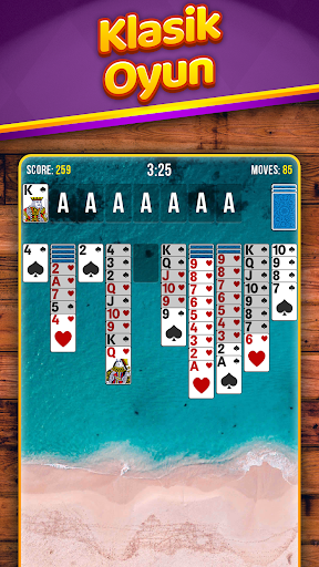 Spider Solitaire ekran görüntüsü
