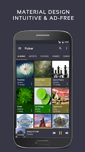 Pulsar Müzik Oynatıcısı ekran görüntüsü
