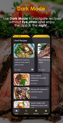 Steak Recipes Offline ekran görüntüsü