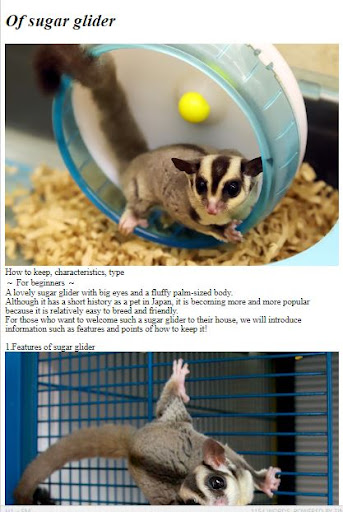 Pet Sugar Glider Care Guide ekran görüntüsü