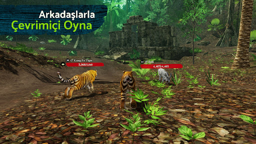 The Tiger ekran görüntüsü