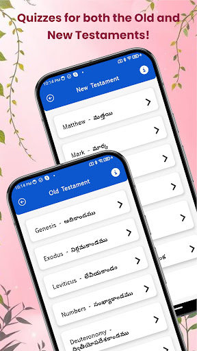 Telugu Bible Quiz ekran görüntüsü
