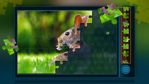 Jigsaw Puzzles Classic ekran görüntüsü