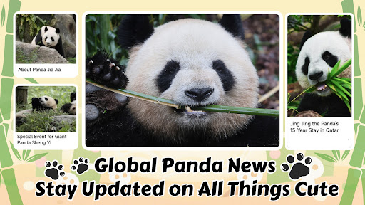 PandaJoy: Panda Lovers' Hub ekran görüntüsü