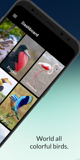 Birds information ekran görüntüsü