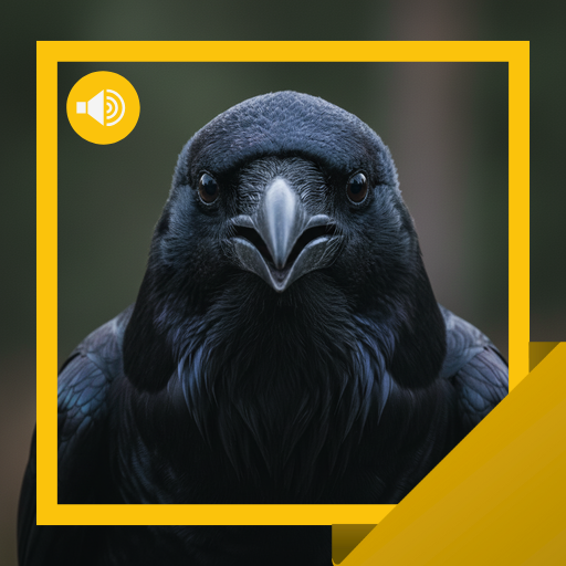 Corvus Sounds & Story