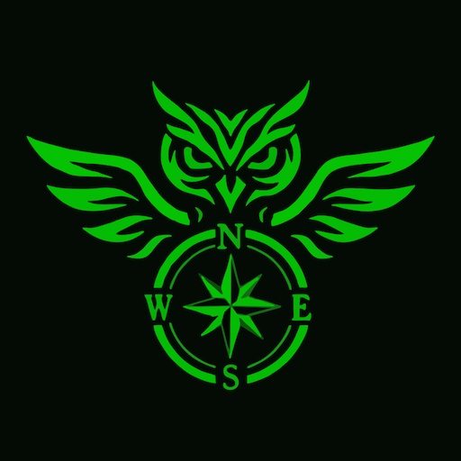 VIP COURIER KURYE