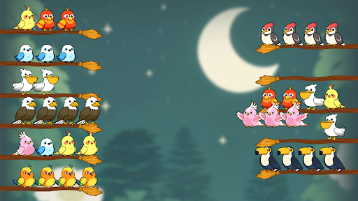 Bird Sort Quest ekran görüntüsü