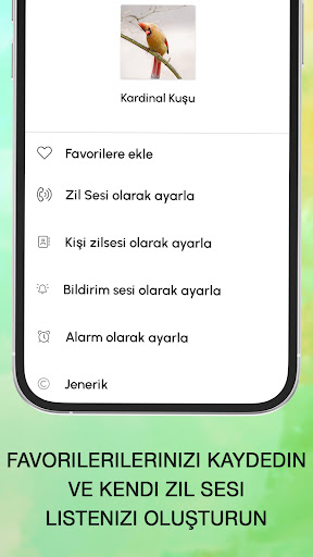 Kuş Şarkısı Sesi ekran görüntüsü