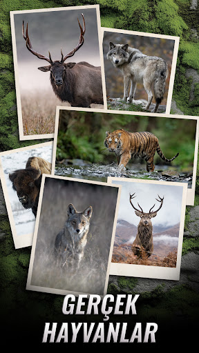 Trophy Hunter - Rahat Avcılık ekran görüntüsü