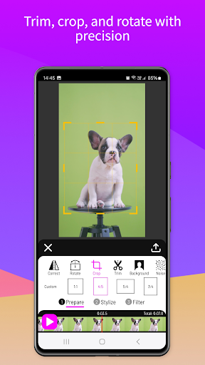Paintation Video: Art Filters ekran görüntüsü