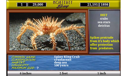 Monterey Bay Sea Life ekran görüntüsü