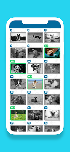 Guess the Dog Breeds Quiz ekran görüntüsü