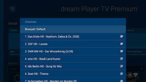 dream Player IPTV for TV ekran görüntüsü
