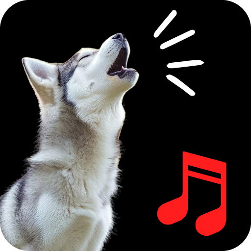 Köpek Havlama Sesleri