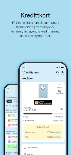 Bank Norwegian ekran görüntüsü