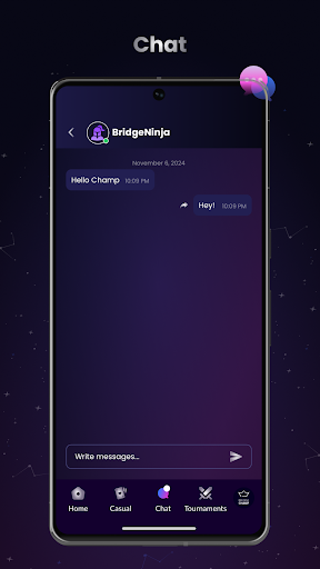 Bridge Champ ekran görüntüsü