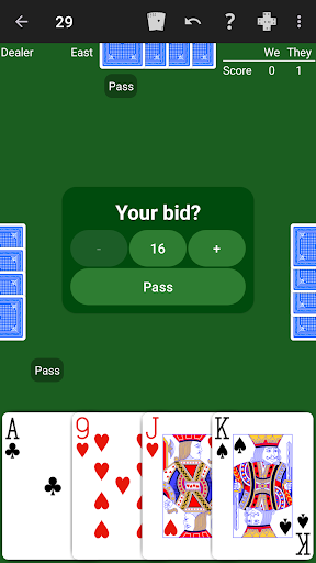 29 Card Game - Expert AI ekran görüntüsü