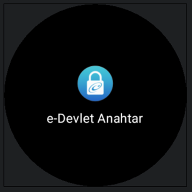 e-Devlet Anahtar ekran görüntüsü