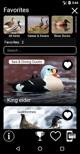 Birds of North America: Decoys ekran görüntüsü