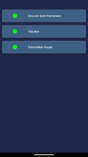 Erzurum Şehir Kameraları ekran görüntüsü