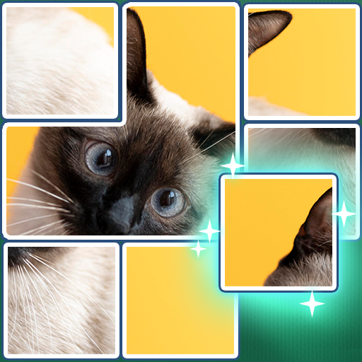 JigSolve Jigsaw Picture Puzzle