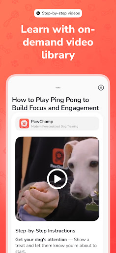 PawChamp - Dog Training & Care ekran görüntüsü